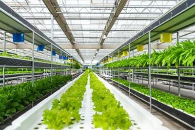 強化農業科技創新與應用的內容,需實施現代種業科技支撐等行動