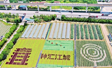 從&ldquo;面對面&rdquo;到&ldquo;屏連屏&rdquo; 武漢種博會創(chuàng)新辦會模式 穩(wěn)步走進&ldquo;云展時代&rdquo;