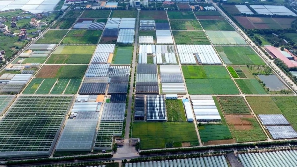 云南省全力發(fā)展農業(yè)新質生產力