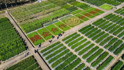 廣東種業(yè),乘風破浪