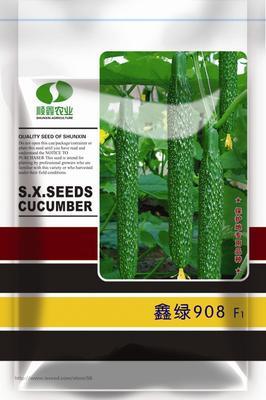 供應鑫綠908黃瓜,北京順鑫農業(yè)股份耘豐種業(yè), 中國蔬菜網產品庫