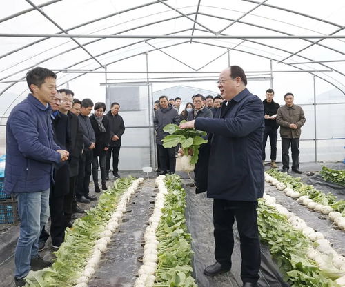 彭佳學調(diào)研 三農(nóng) 工作鳳凰網(wǎng)寧波