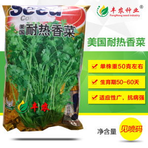 蔬菜香菜種子市場洞察 價格、供應商與種植前景