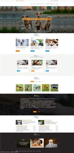 萌寵之家 打造用戶喜愛的寵物網(wǎng)頁設(shè)計(jì)模板指南